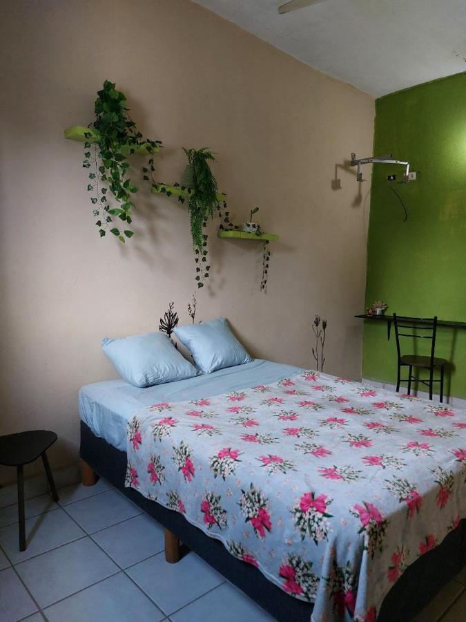 Cho Ku Rei Hostal San José del Cabo 外观 照片