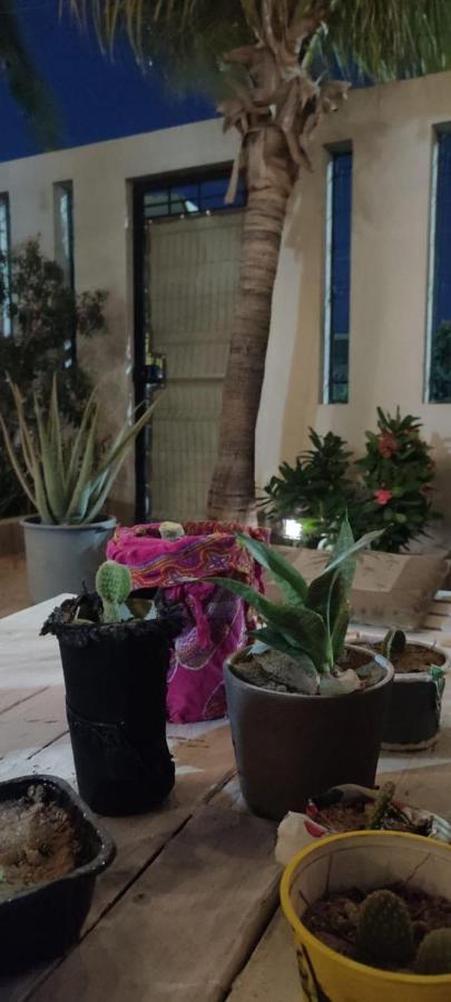 Cho Ku Rei Hostal San José del Cabo 外观 照片