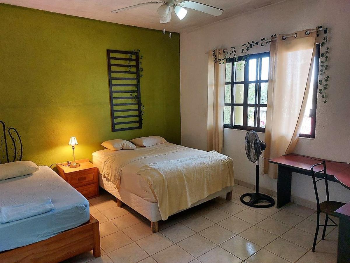 Cho Ku Rei Hostal San José del Cabo 外观 照片